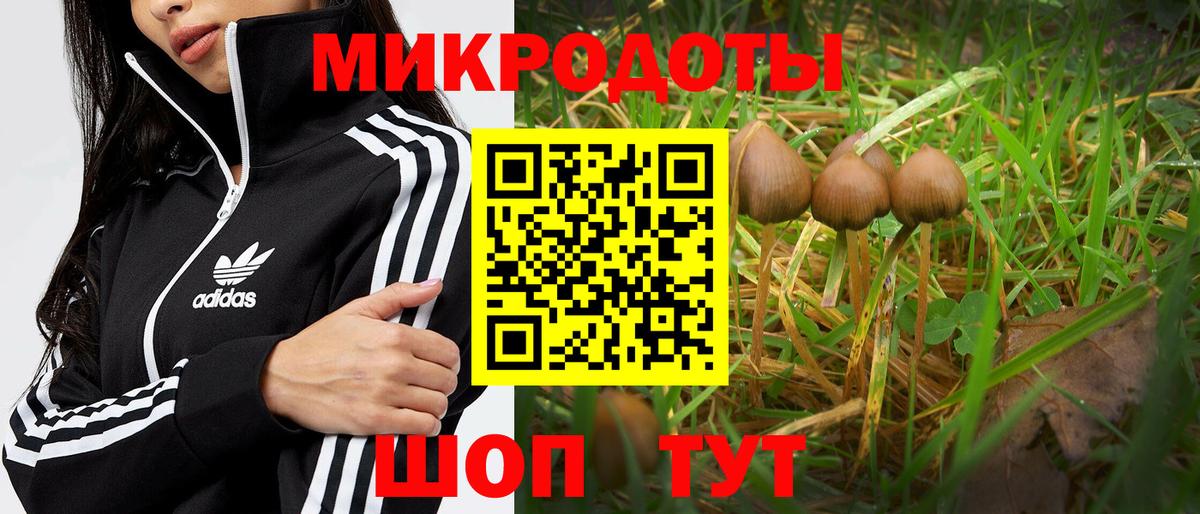 Саранск  Псилоцибиновые грибы прущие грибы  Галлюциногенные грибы GOLDEN TEACHER  Вход с VPN 