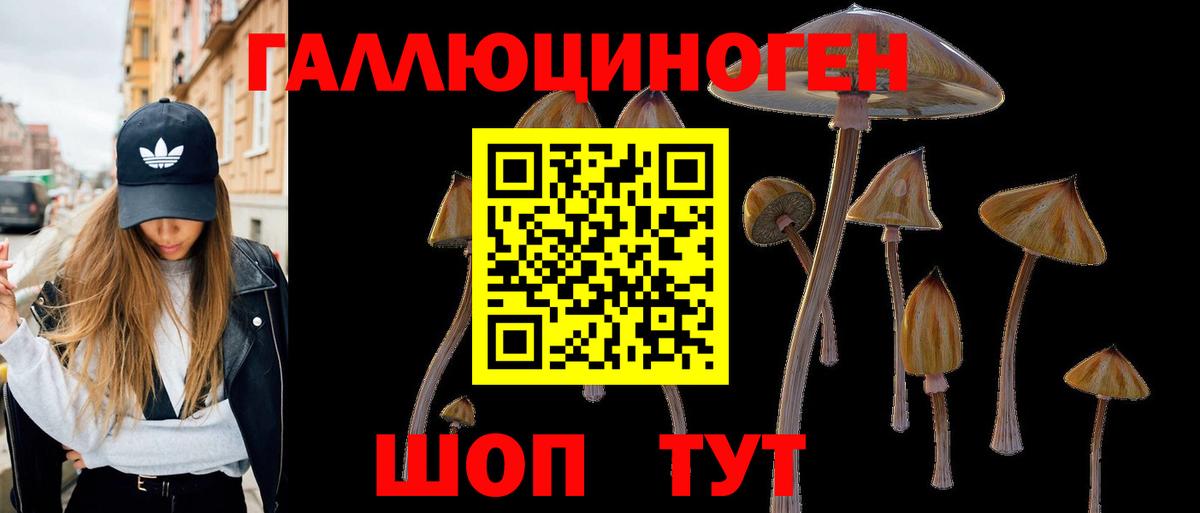Псилоцибиновые грибы Magic Shrooms Саранск