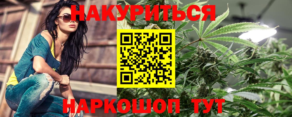 Конопля гибрид Саранск